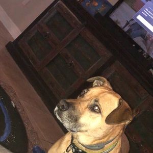 Meet your Posher, Quinn